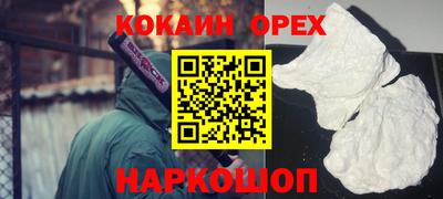 шишки Дубна