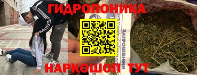 гидра Донецк