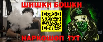 шишки Дубна