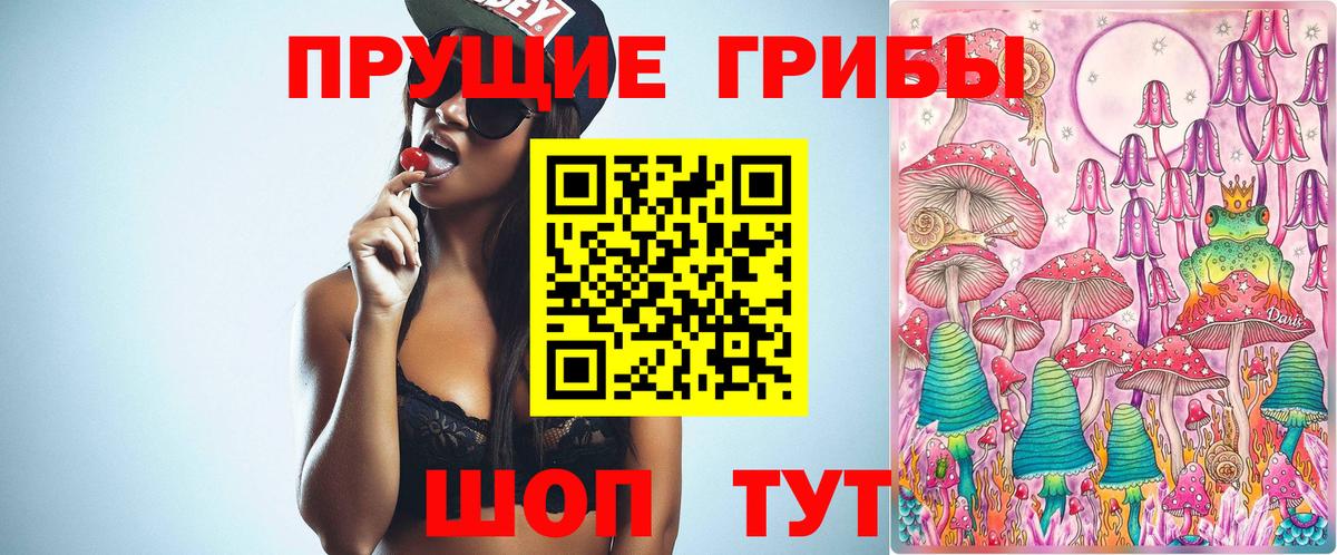 Волоколамск  Галлюциногенные грибы MAGIC MUSHROOMS  Вход с VPN  Псилоцибиновые грибы прущие грибы 